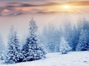 Winter wonderland in the Alps